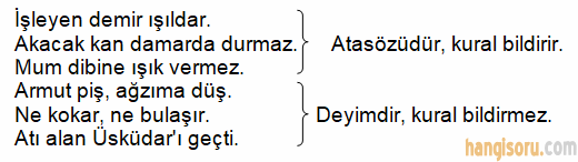 Deyim ve Atasözleri Konu Anlatımı