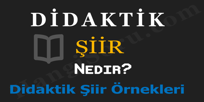 didaktik siir nedir