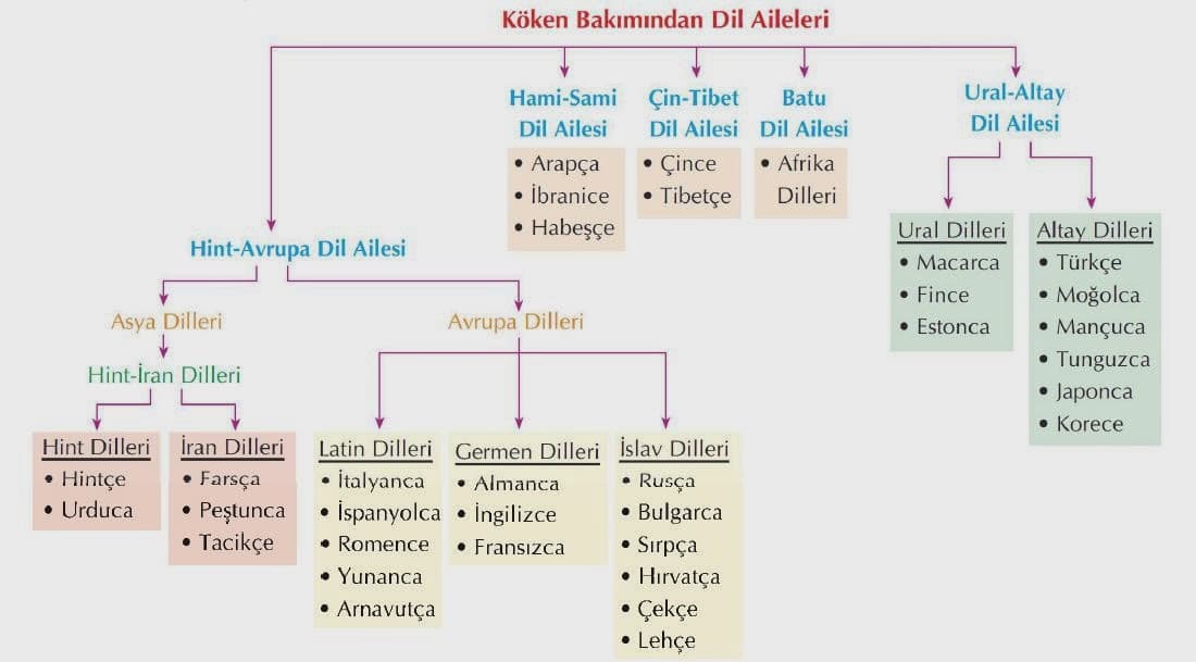 dil kokenleri