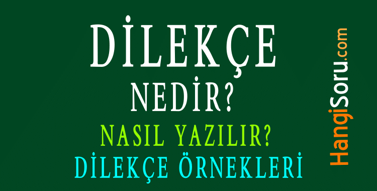 dilekce nedir nasil yazilir dilekce ornekleri