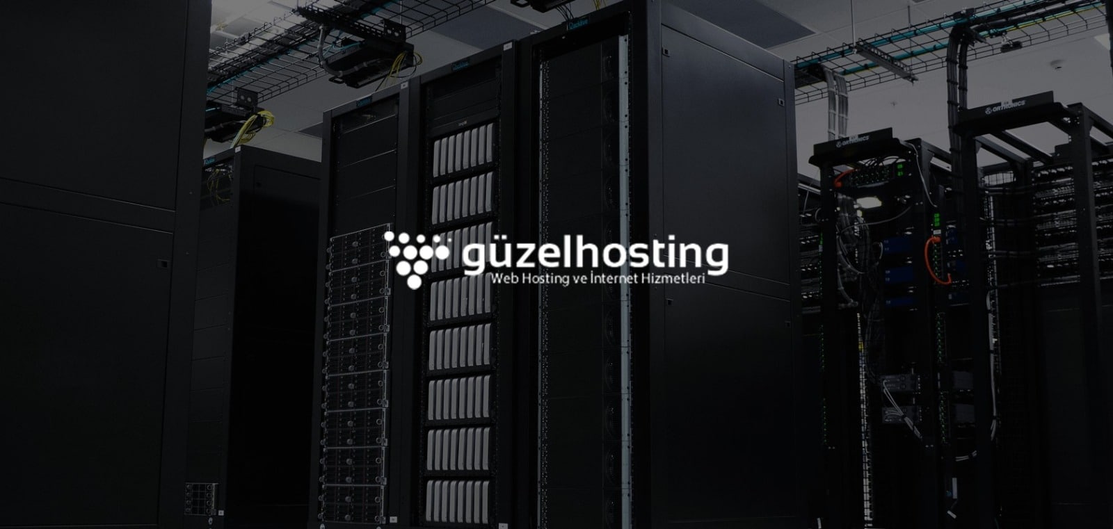 en iyi hosting firmalari guzel hosting