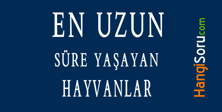 en uzun sure yasayan hayvanlar