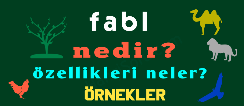 fabl nedir fabl ornekleri ve ozellikleri