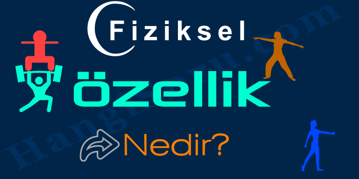 fiziksel ozellik nedir