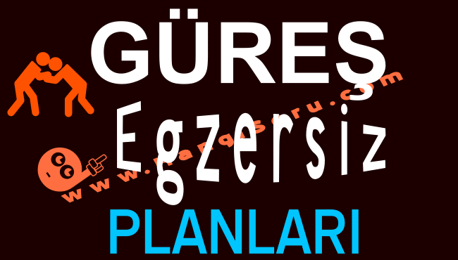 Güreş Egzersiz Planı İndir