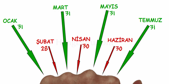 hangi ay kac gun hesaplama