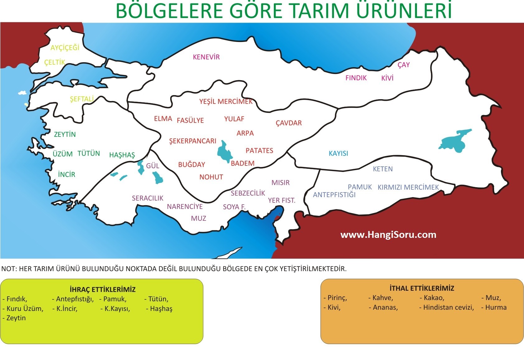 Hangi Bolgede Hangi Tarim Urunu Yetisir Harita Ve Liste