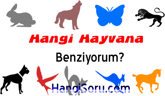 Hangi Hayvana Benziyorum? TESTİ Ãöz, Sonucu Gör