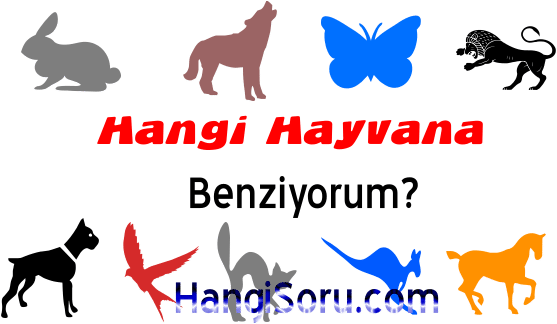 Hangi Hayvana Benziyorum? TESTÄ° ÃÃ¶z, Sonucu GÃ¶r