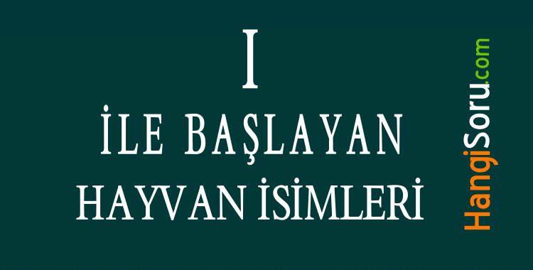 ı ile başlayan hayvan isimleri