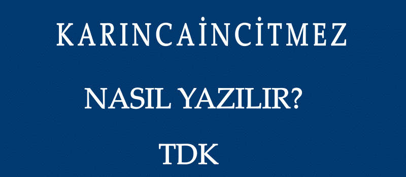 karincaincitmez nasil yazilir tdk