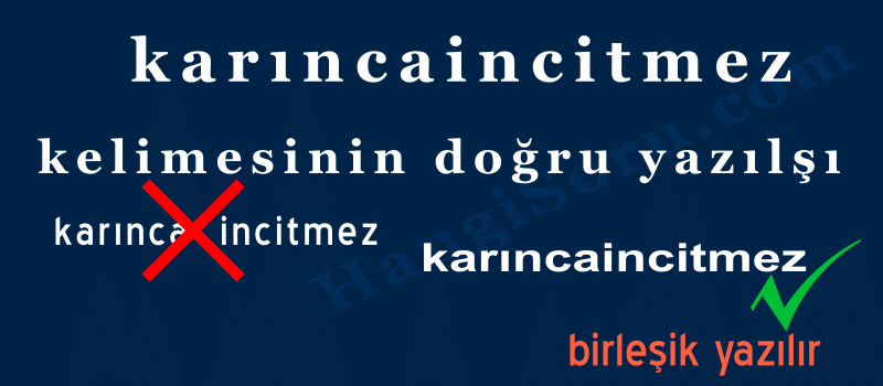 karincaincitmez tdk