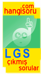 LGS Çıkmış Sorular