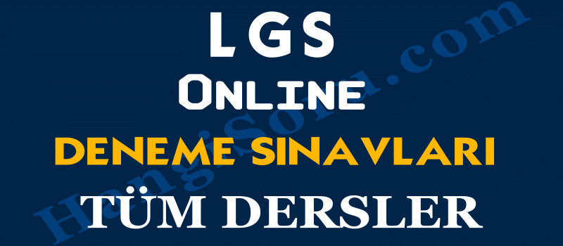 lgs online deneme sinavi coz