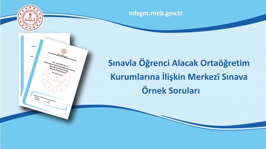 lgs ornek sorular meb