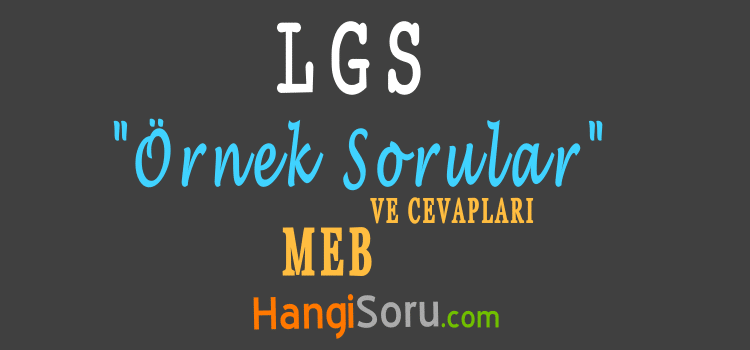 lgs örnek sorular meb