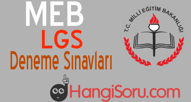 lgs deneme sınavı