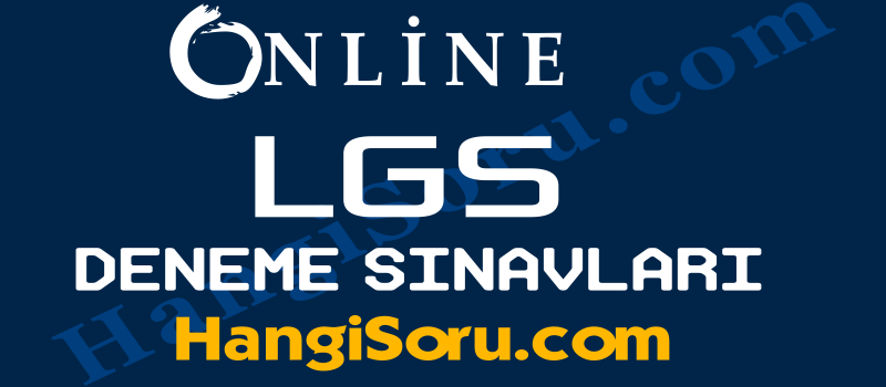 online lgs deneme sinavı