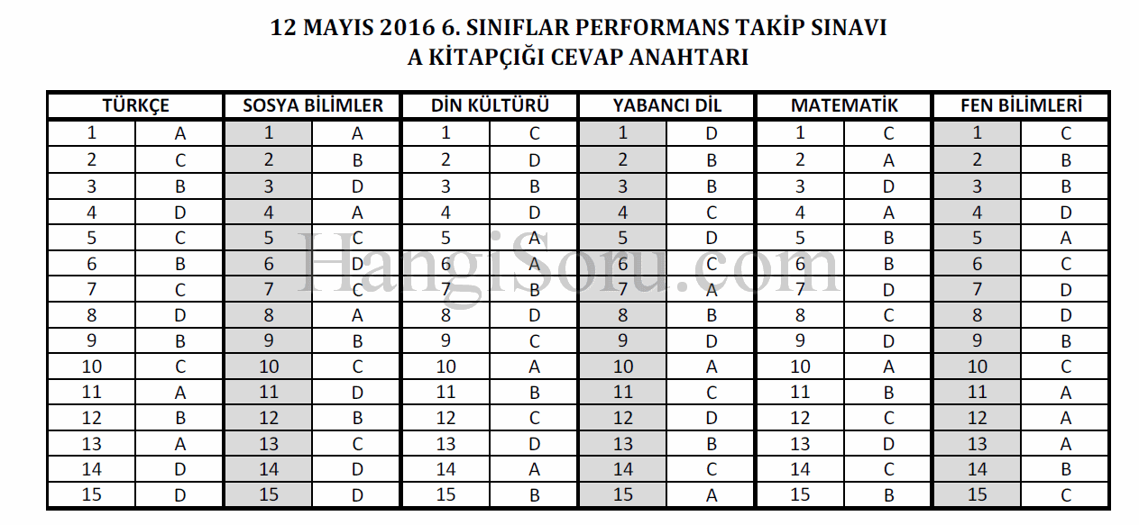 pts-12-mayis-cevaplari-akitapcigi