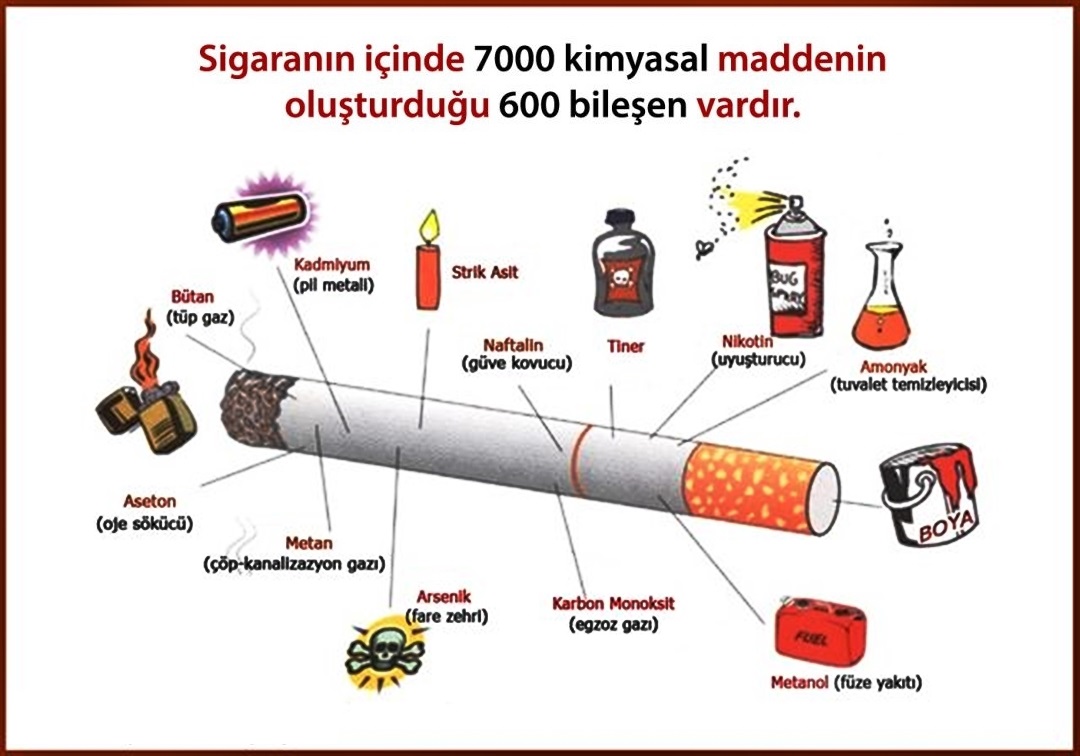 sigaranın içindeki kimyasallar