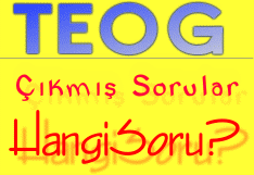 teog-cikmis-sorular