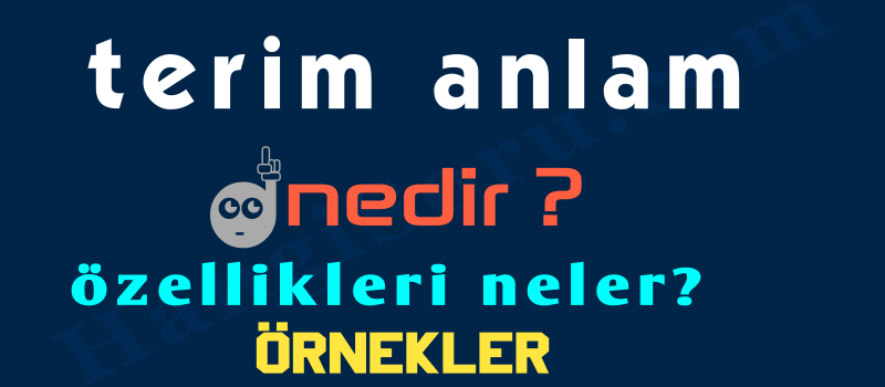 terim anlam nedir