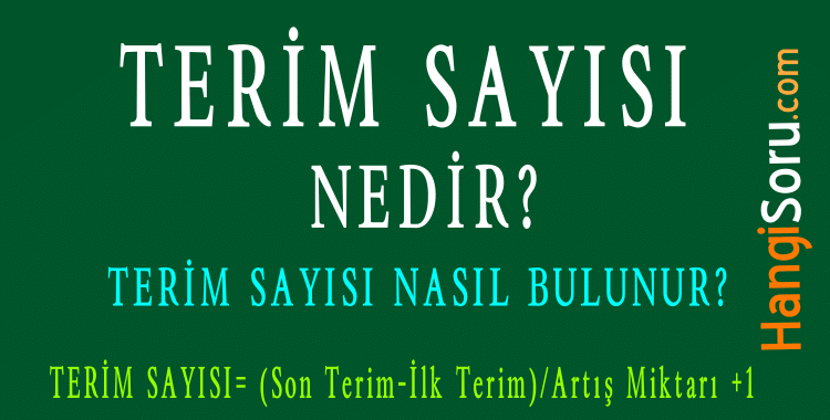 terim sayisi nedir terim sayisi formulu